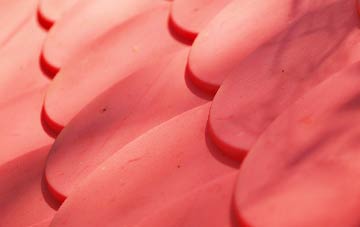 Bare Ash plastic roof costs