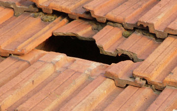 roof repair Bare Ash, Somerset